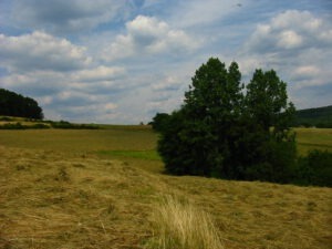 heimat: geschichten über das fernweh